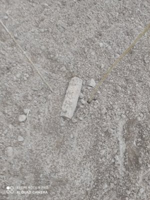 pocisk artyleryjski 75 mm odnaleziony w m. Wojciechowo