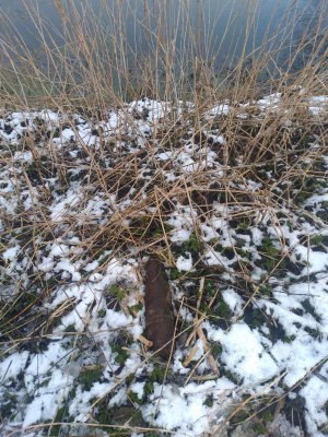 Odnaleziony pocisk artyleryjski w miejscowości Redy (1)