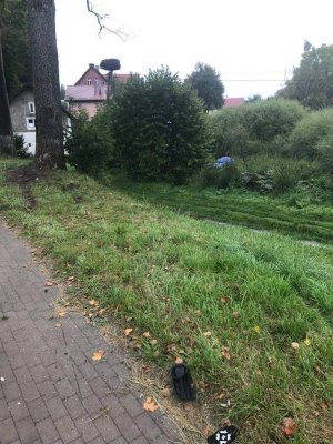 Widok z miejsca zdarzenia