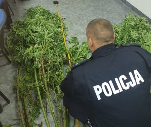 Policjant podczas oględzin