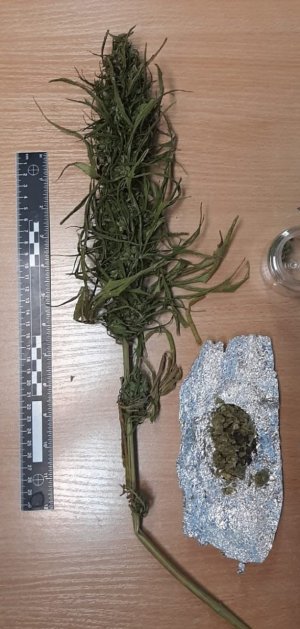 zabezpieczone narkotyki w mieszkaniu