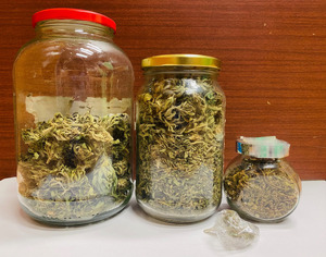 Zabezpieczony susz roślinny