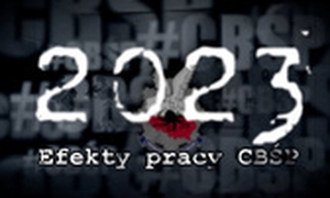 Efekty pracy CBŚP w 2023 roku